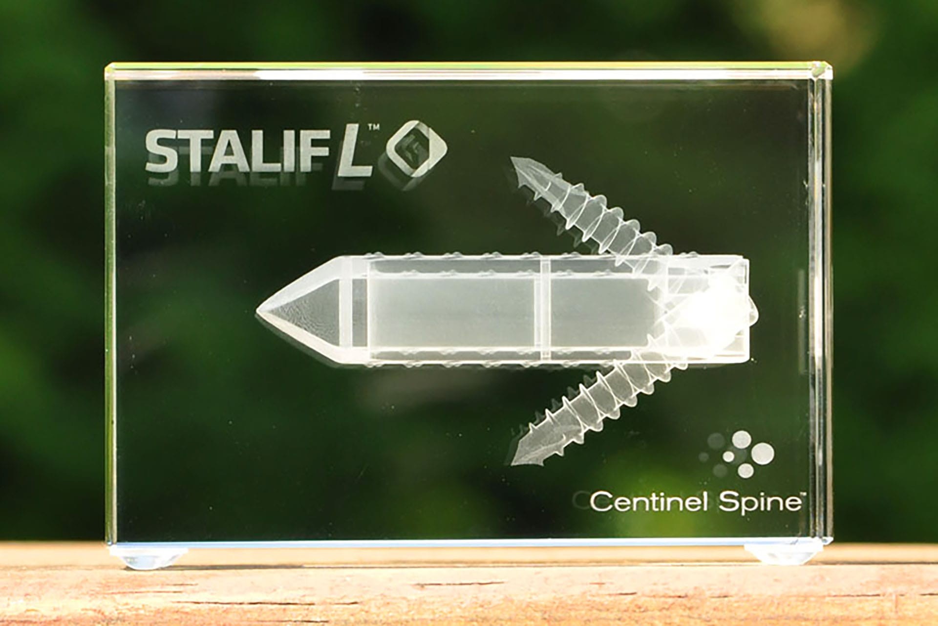 statuetka szklo Centinel Spine glasso